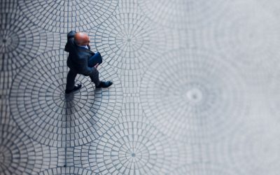Powiatowe Centrum Pomocy Rodzinie w Oławie poszukuje pracownika – 12 czerwca 2025 r.